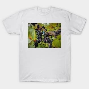 grapes T-Shirt